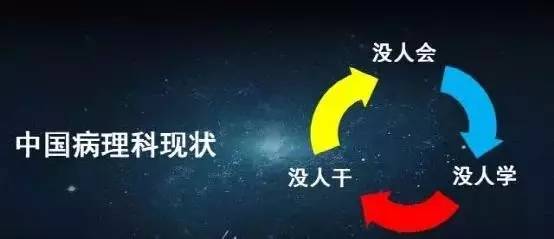 收入证明_病理医生收入